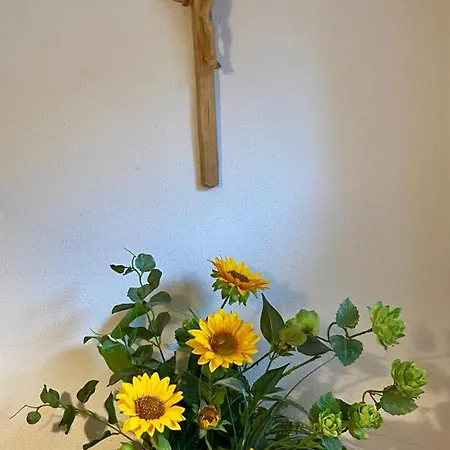 Hollaus Апартаменты